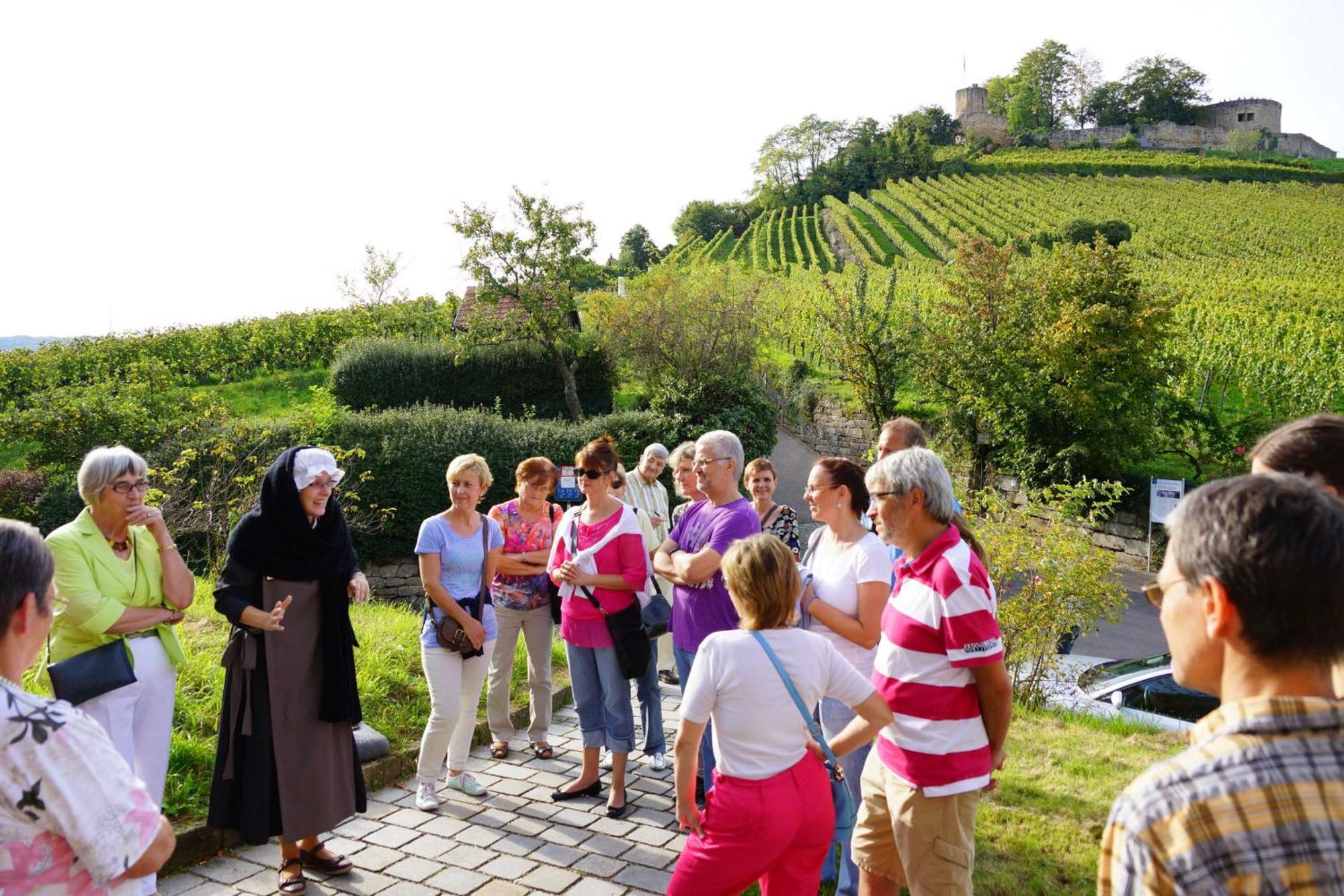 Gaestehaus Zum Wolffenturm Lehrensteinsfeld Εξωτερικό φωτογραφία