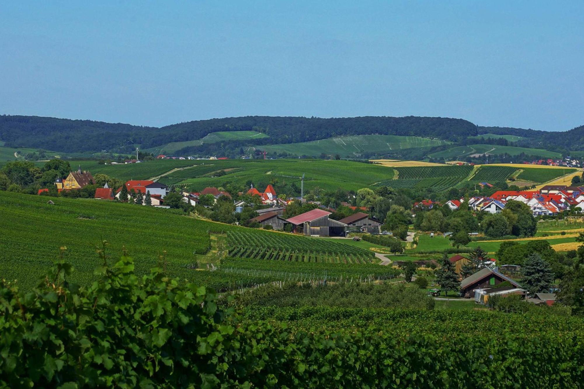 Gaestehaus Zum Wolffenturm Lehrensteinsfeld Εξωτερικό φωτογραφία